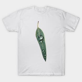 Leaf with Tropical Rain Drop T-Shirt